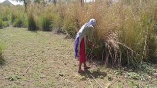 Video Mesum Di Ladang Antara Pria Hidung Belang Dan Buruh Kasar